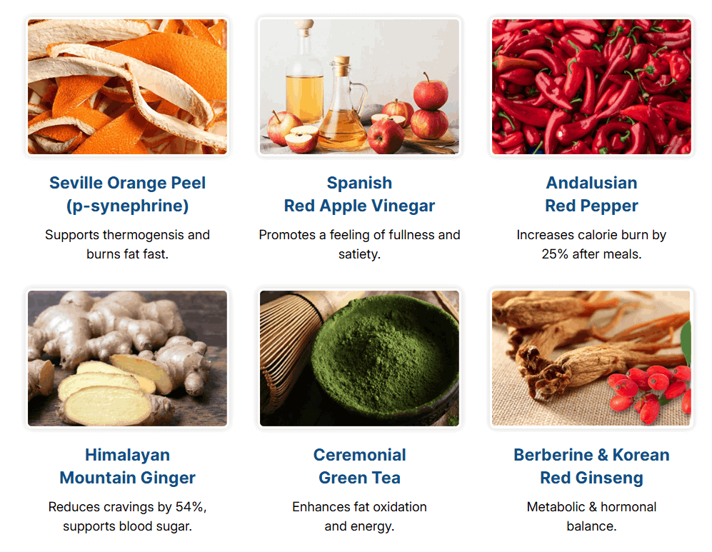 citrus burn ingredients